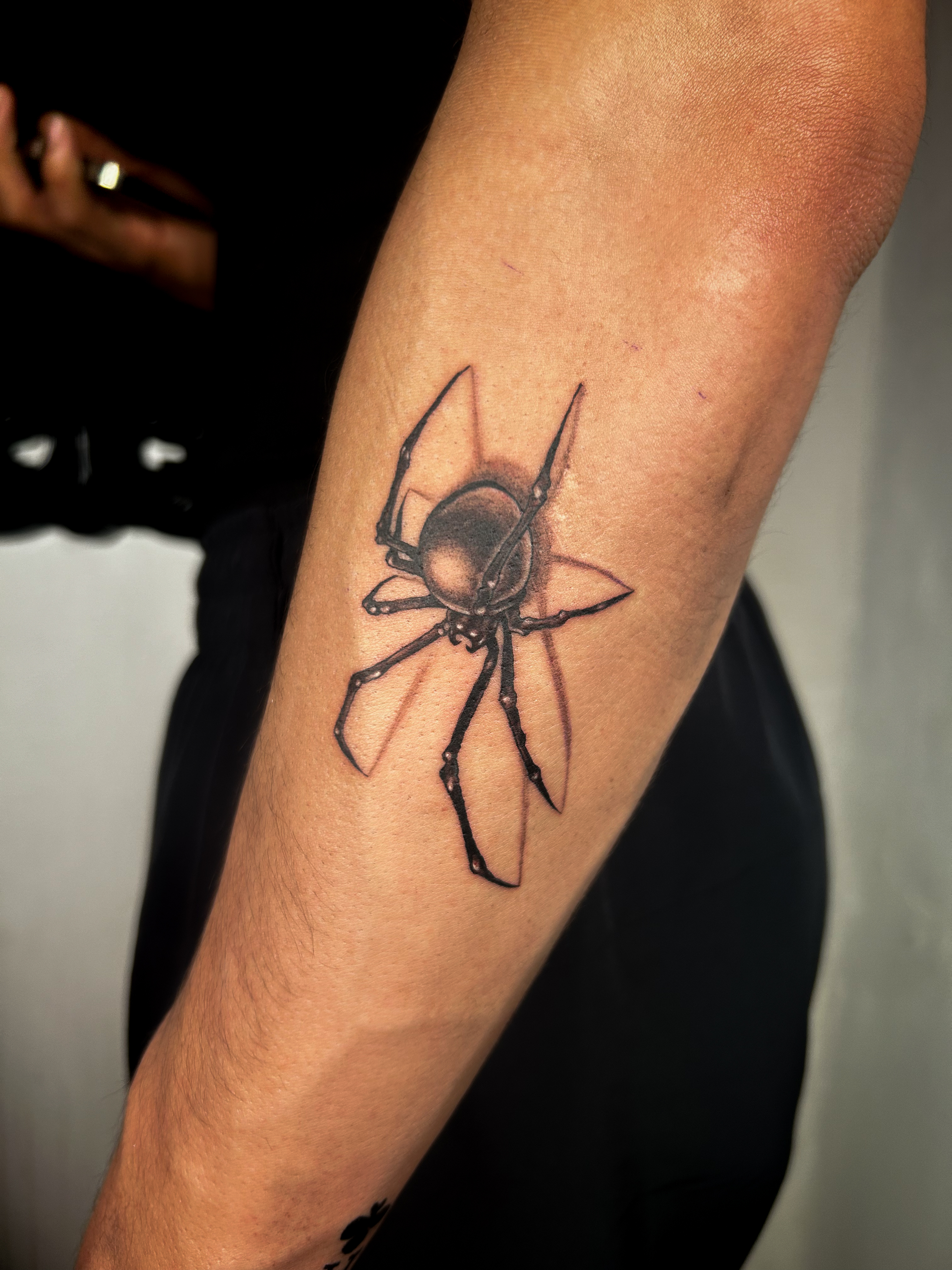 Realistic spider on the forearm